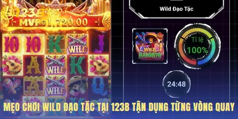 Mẹo chơi wild đạo tặc tập trung vào mục tiêu Free Spins